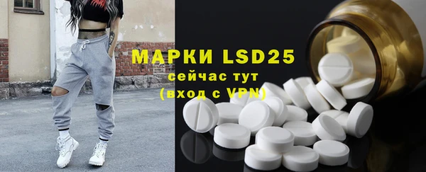 гашик Нефтекумск