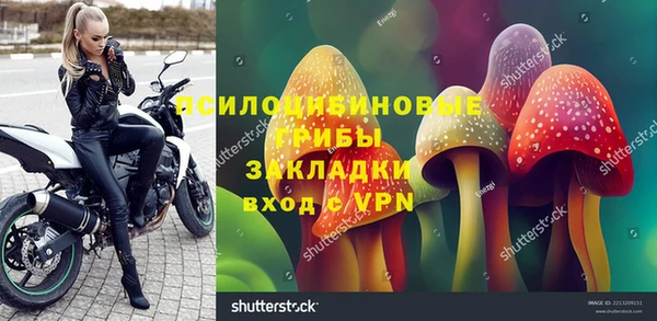 гашик Нефтекумск